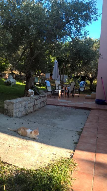 شقة Ktima Tzamika Episkopi-Chania المظهر الخارجي الصورة