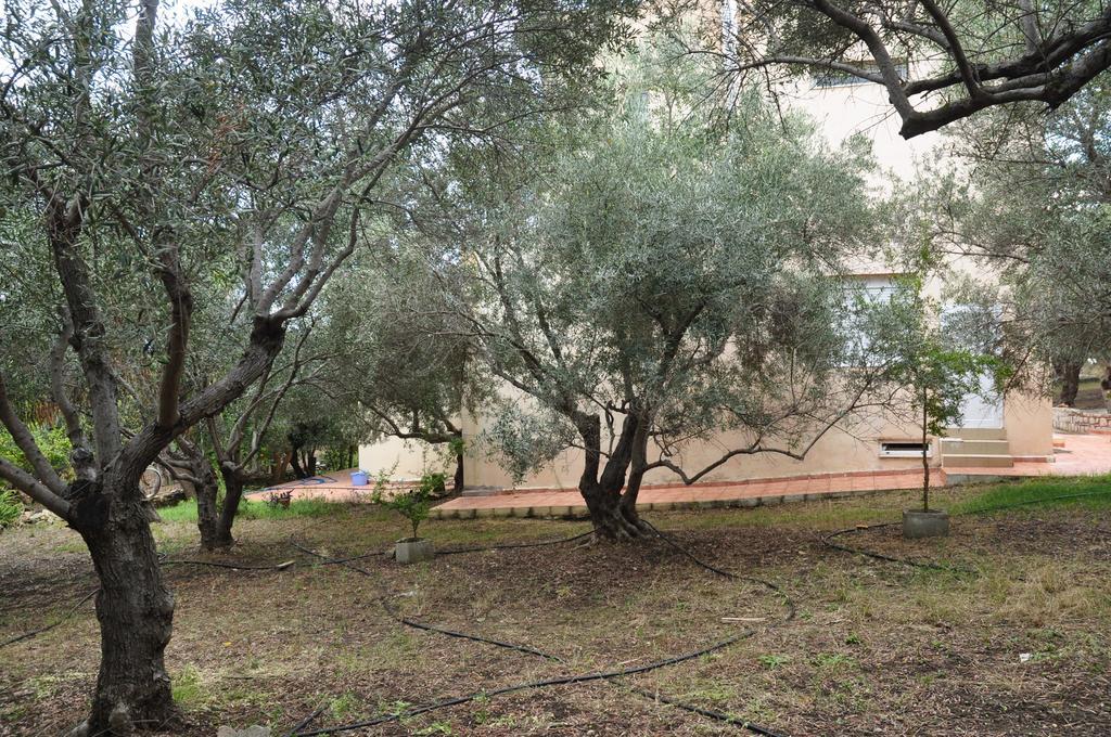شقة Ktima Tzamika Episkopi-Chania المظهر الخارجي الصورة