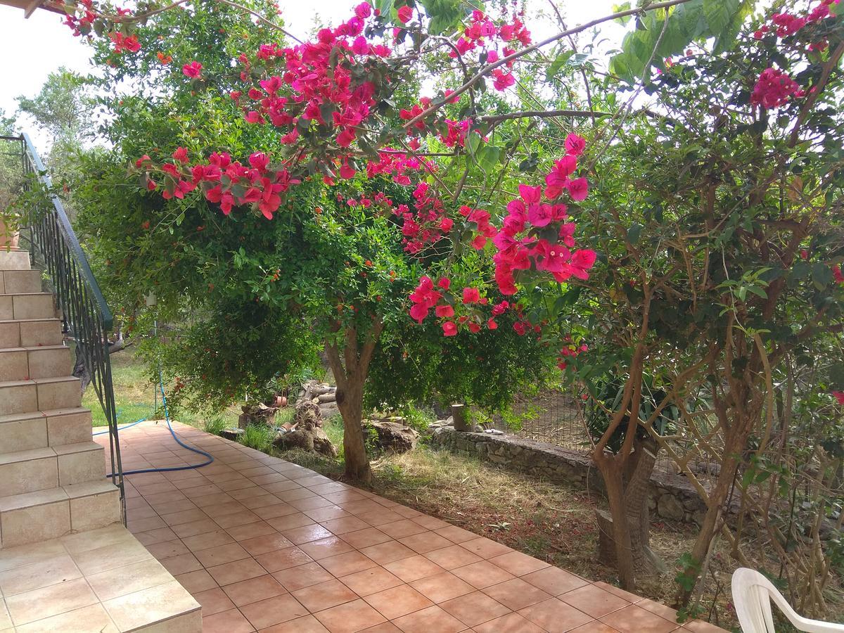 شقة Ktima Tzamika Episkopi-Chania المظهر الخارجي الصورة